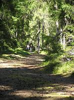 Suvine seiklus saarel (242) 